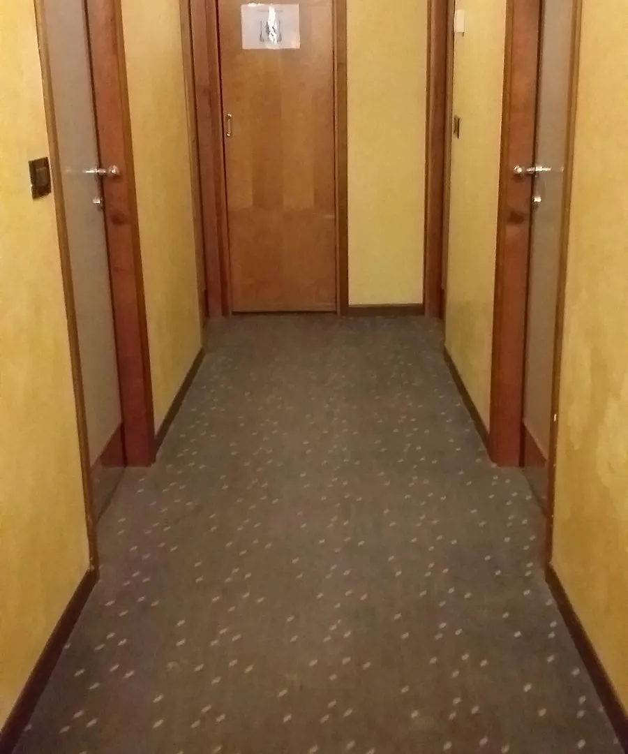 ***  Hotel Doge Венеция Италия